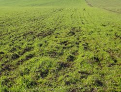 Tarım Ürünleri Üretici Fiyat Endeksi Yüzde 2,78 Arttı