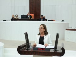 Bursa'daki Hava Kirliliği TBMM Gündeminde