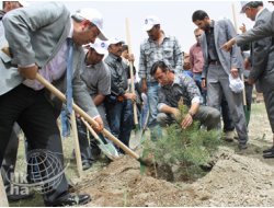 Van Yüzüncü Yıl Üniversitesinde Fidan Dikimi