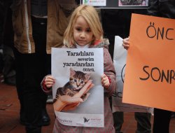 'Hayvan Ölümlerine Karşıyız'