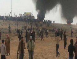 Pevçûnên Li Fellûceyê