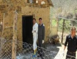 Genç'te Kuduz Karantinası