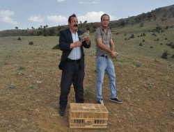 Batman`da 3 bin keklik doğayla buluştu