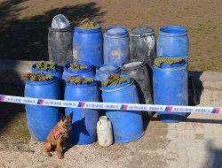 Diyarbakır'da 1 ton esrar ele geçirildi