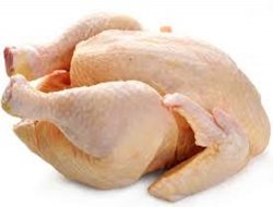 Türkiye tavuk eti üretiminde AB ülkeleri arasında ilk sırada