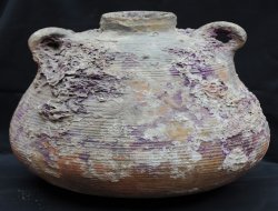 ABD'ye kaçırılan iki amfora yeniden Türkiye'de