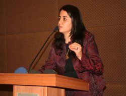 AK Partili vekilden BDP'li başkana tepki