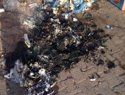 Şırnak'ta HÜDA PAR flamalarını yaktılar