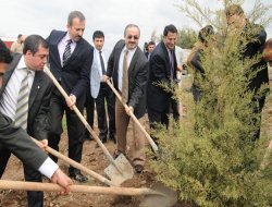 Dicle Üniversitesi Hatıra Ormanı fidan dikimleri devam ediyor