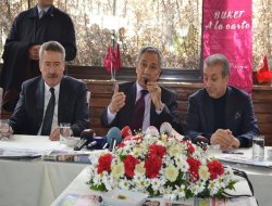 Türk Dil Kurumundan Kürtçe sözlük