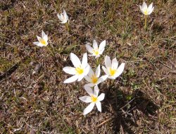 Muş halkı baharın tadını çıkarıyor.