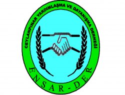 Ceylanpınar Ensar Der: "Halepçe hala yaşanıyor"