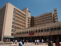 Li Hewlêrê Temsîlkariyê Vedike