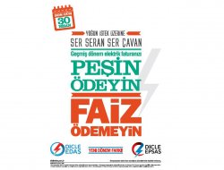 Dicle Elektrik'ten faiz affı