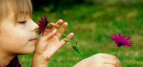 Burun 1 trilyon farklı kokuyu algılayabiliyor