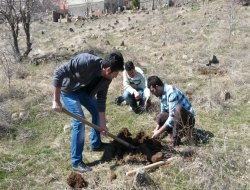 Mahalle gençlerinden örnek davranış