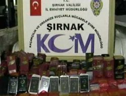 Şırnak'ta 3 bin adet kaçak cep telefonu ele geçirildi