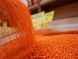 TİGEM'de 929 ton kırmızı mercimek satıldı