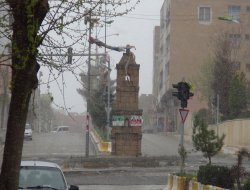 Çınar yoğun kar yağışı altında