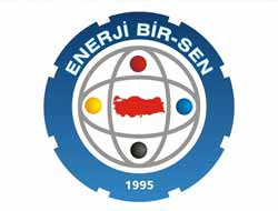 Mısır Cuntasına bir tepki de Enerji Bir-Sen'den