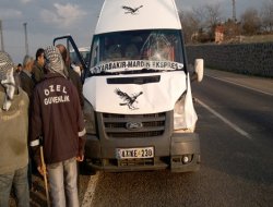 Çınar'da minibüs ineğe çarptı