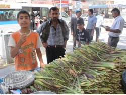 Cizre'de Uçkun (Revaz) Yok Satıyor