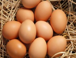 Yumurta üretimi 1,2 arttı