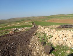 Çınar'da köylünün yol mağduriyeti