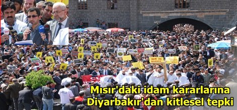 Mısır'daki idam kararlarına Diyarbakır'dan kitlesel tepki