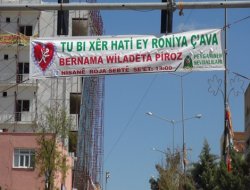 Çınar kutlu doğuma hazır