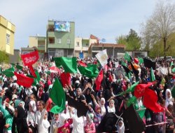 Çınar Hz Peygambere teslim oldu