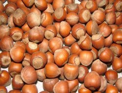 Fındıkta artan fiyattan üretici kazanmıyor