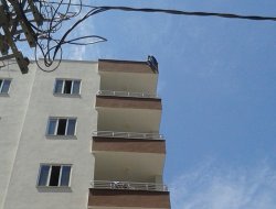 Kızıltepe'de intihar girişimi