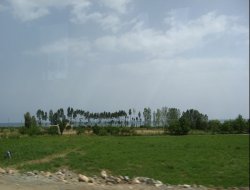 Tarım Ocak'ta işsizliği 2,2 puan düşürdü