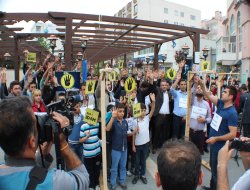 Cizre'de Mısır'daki idamlara tepki