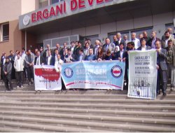 Mısır idamlarına Ergani'den tepki