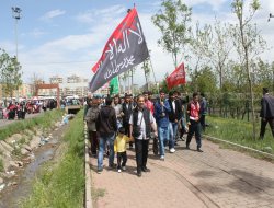 Amed`te Kutlu Doğum`a insan seli
