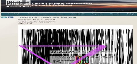 Akademisyenler "Ahlaksız" panele sahip çıktı