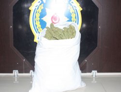 16 kilo esrar ele geçirildi