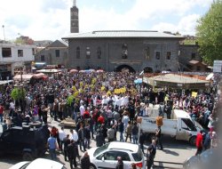 Mısır'daki idam kararları Diyarbakır'da protesto edilecek