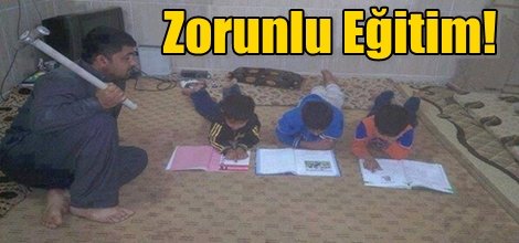 `Zorunlu Eğitim!`