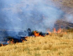 Çiftçilere anızları yakmayın mektubu