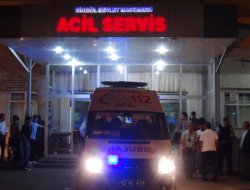 Otomobil hayvan sürüsüne daldı: 32 hayvan telef oldu