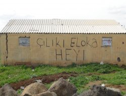 Çınar'da görenlere tebessüm ettiren duvar yazısı