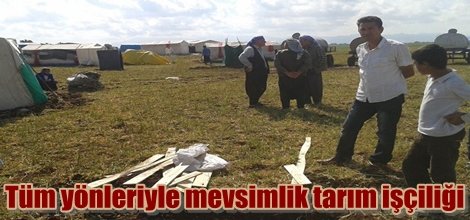 Tüm yönleriyle mevsimlik tarım işçiliği