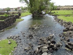 Karacadağ'ın altından hayat suyu fışkırıyor