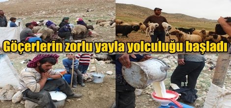 Göçerlerin zorlu yayla yolculuğu başladı