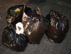 Viranşehir'de 25 kilo esrar elegeçirildi