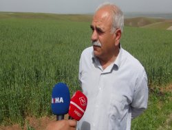 Ziraat Odası'ndan çiftçilere 'sigorta yapın' çağrısı