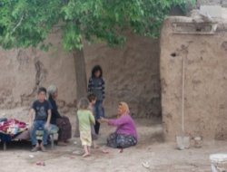 Li Mêrdînê Dayîk û 10 Zarok Li Holê Man